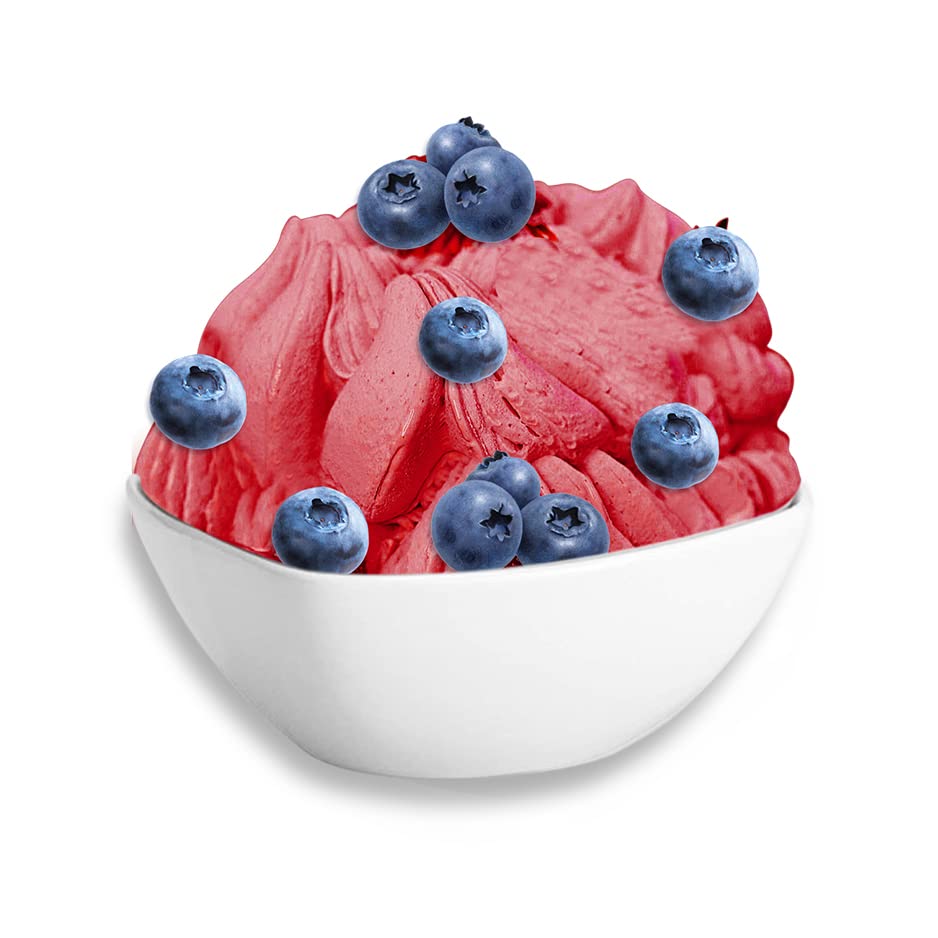 Blueberry Sorbet Mix